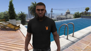 Vlone X Playboy TEE [Multiple Colors] for Grand Theft Auto V
