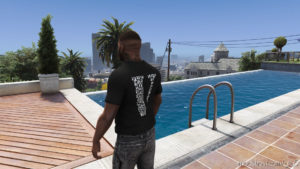 GTA 5 Player Mod: Vlone X Playboy TEE Multiple Colors (Image #5)