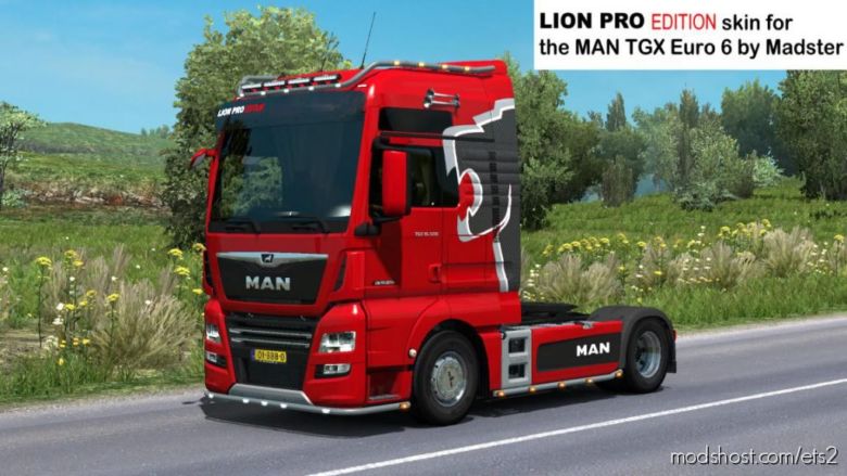 MAN Lion PRO Edition Skin For Madster for Euro Truck Simulator 2