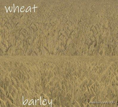 Wheat – Barley Texture for Farming Simulator 19