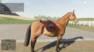 Saddle Pickupable [Beta] for Farming Simulator 19