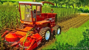 Corn Texture for Farming Simulator 19