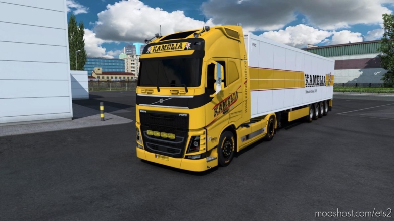 Combo Skin Kamelia for Euro Truck Simulator 2