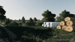 Wola Brudnowska for Farming Simulator 19