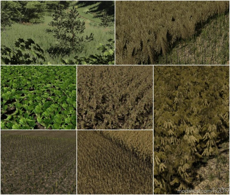 Textures Pack for Farming Simulator 19