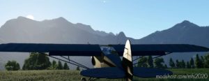 MSFS 2020 Mod: Savage Carbon – Stol Realism Mod V1.0.5 (Image #2)