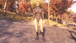 Fallout76 Mod: SE*Y Marine Armor (Image #2)