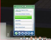 Sims 4 Mod: Remove Sentiments About Specific Sims (Image #2)