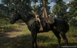 RDR2 Script Mod: Horse Holster (Image #4)