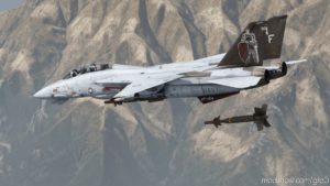 GTA 5 Vehicle Mod: F-14D Super Tomcat (Image #4)