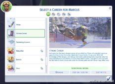 Xtreme Career for The Sims 4