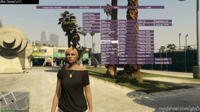 Skin Control Source Code for Grand Theft Auto V