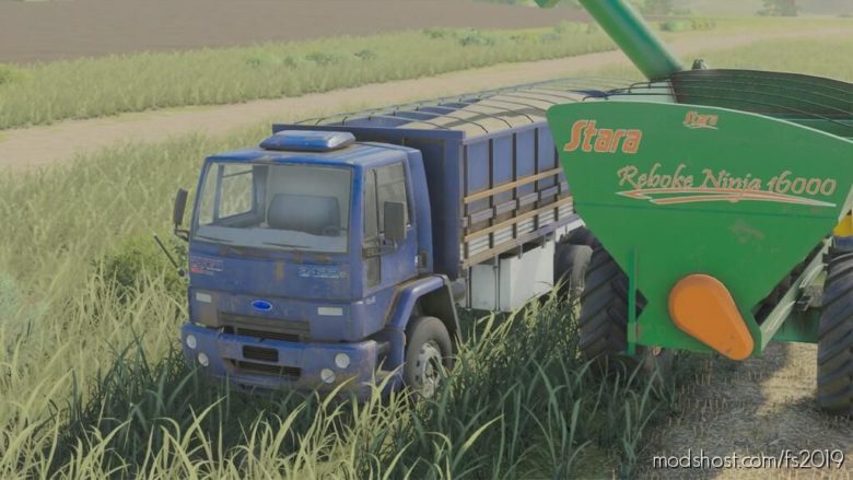 Lizard Cargo Series Brazil for Farming Simulator 19
