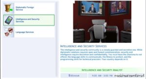 Sims 4 Career Mod: International Relations (Image #2)