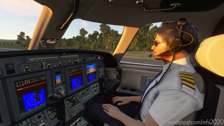 Working Visible Copilots for Microsoft Flight Simulator 2020