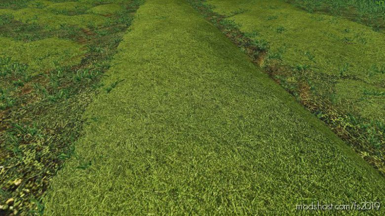 Texture Of Straw, HAY, Grass for Farming Simulator 19