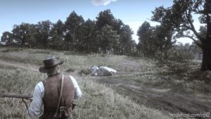 RDR2 ReShade Mod: Fischer’s Boring Photoreality (Image #2)