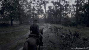 RDR2 ReShade Mod: Fischer’s Boring Photoreality (Image #8)