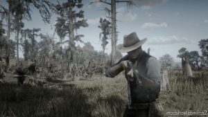 RDR2 ReShade Mod: Fischer’s Boring Photoreality (Image #11)