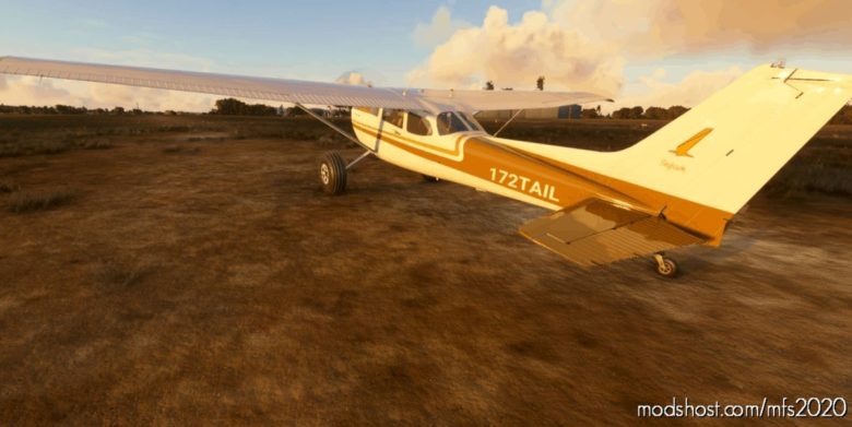 Cessna 172 Tail Dragger for Microsoft Flight Simulator 2020