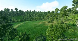 MSFS 2020 Mod: Jamaican Weed RUN – Bushtrip (Image #4)