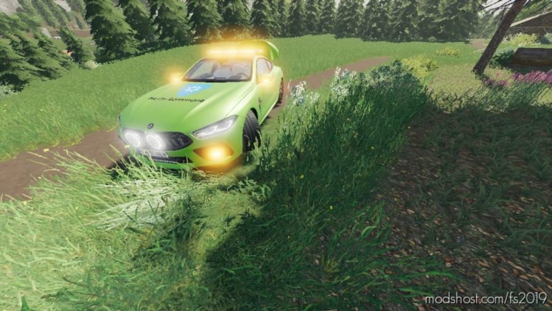BMW Work CAR for Farming Simulator 19