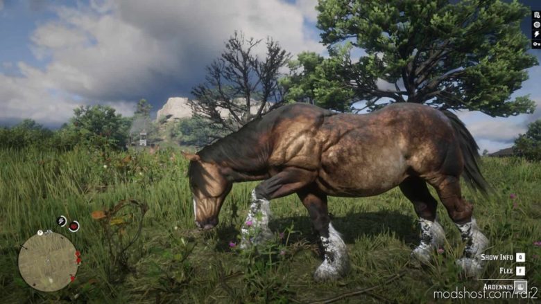 Online Horses for Red Dead Redemption 2
