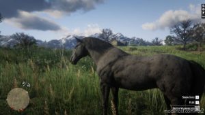 RDR2 Mod: Online Horses (Image #11)