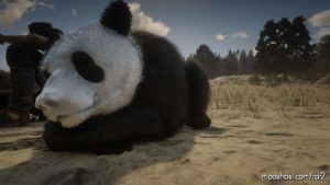 RDR2 Mod: Panda Bear (Image #2)