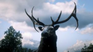 More Perfect Animals for Red Dead Redemption 2