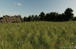 Erlengrat Grass for Farming Simulator 19