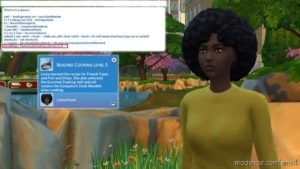 Sims 4 Mod: Cheat Shortcuts + (Image #2)