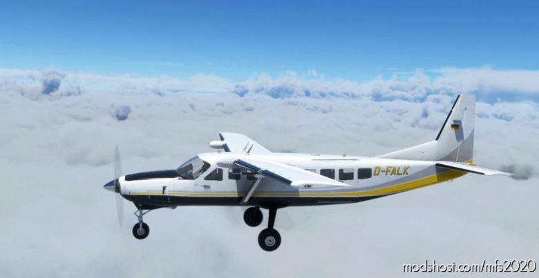 Cessna 208 Caravan NO POD Businesswings D-Falk for Microsoft Flight Simulator 2020