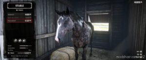 Dappled Black Thoroughbred for Red Dead Redemption 2