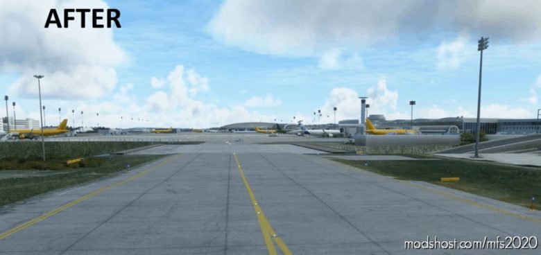 Lfpg Terrain FIX for Microsoft Flight Simulator 2020
