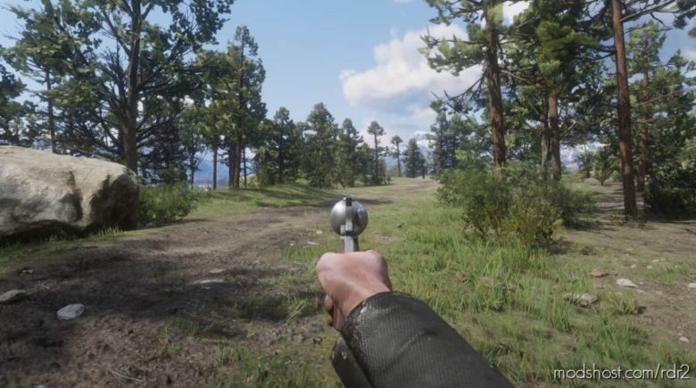 First Person AIM for Red Dead Redemption 2