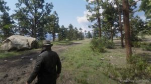 RDR2 Effect Mod: First Person AIM (Image #2)