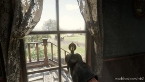 NO Zoom Iron Sight for Red Dead Redemption 2