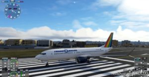 737-Transbrasil for Microsoft Flight Simulator 2020