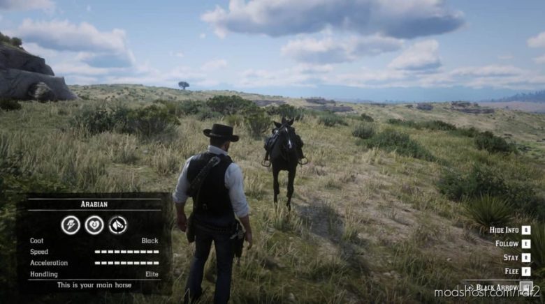 Fast And Loyal Horses for Red Dead Redemption 2