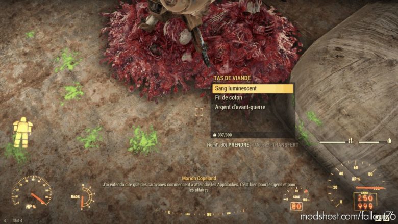 Acab76 – ALL Corpses ARE Beautiful for Fallout 76