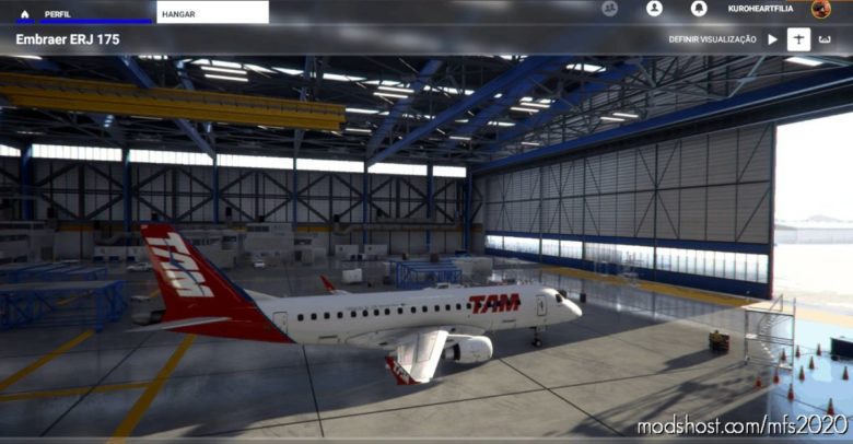 TAM-175 for Microsoft Flight Simulator 2020
