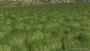 Grass Texture for Farming Simulator 19