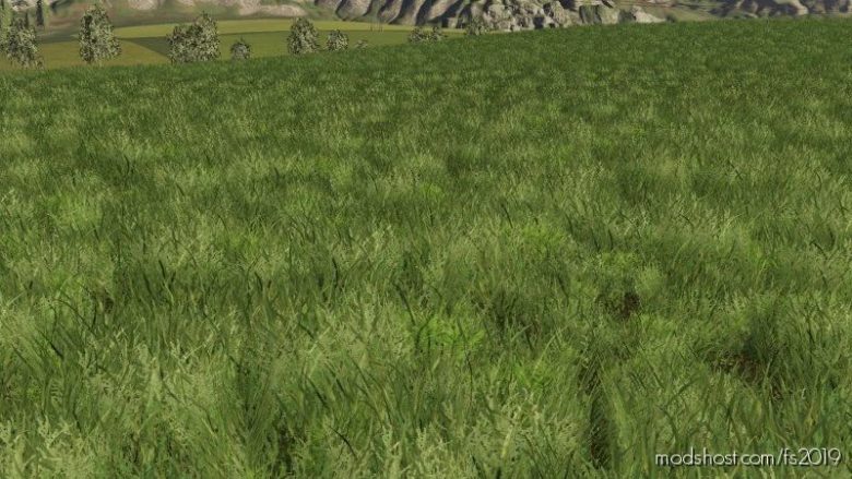 Grass Texture for Farming Simulator 19