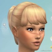 Sims 4 Makeup Mod: Facial Scars (Image #5)