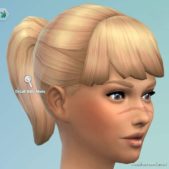 Sims 4 Makeup Mod: Facial Scars (Image #8)