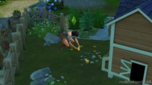 Animal Lifespan Tuning for The Sims 4