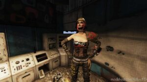 Fallout76 Mod: Custom Raider Goon Re-Texture And Tank Girl Army Helmet (Image #2)