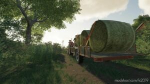 LOW Trailer And Bale Trailer for Farming Simulator 19