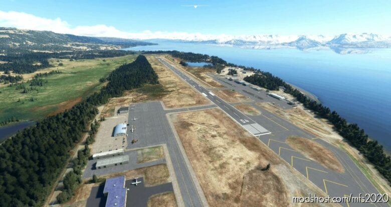 Homer (Paho), AK, US for Microsoft Flight Simulator 2020